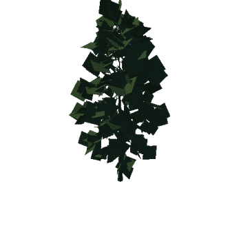 Tree 3